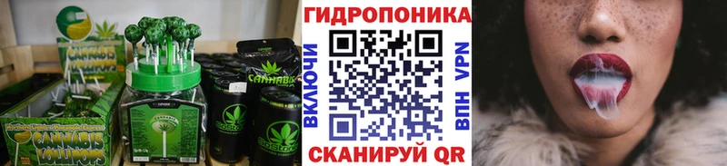 kraken tor  Кедровый  Cannafood марихуана 