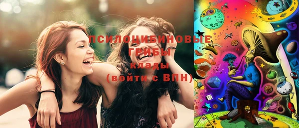 меф Няндома