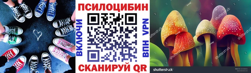 Галлюциногенные грибы Psilocybine cubensis  Кедровый 